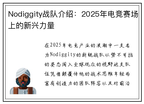 Nodiggity战队介绍：2025年电竞赛场上的新兴力量